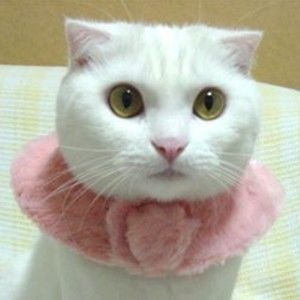 Meet your Posher, Kathi